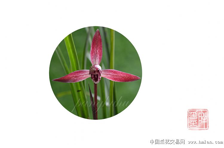 国产液态奶刮起“涨价风”【JDB电子游戏官网】