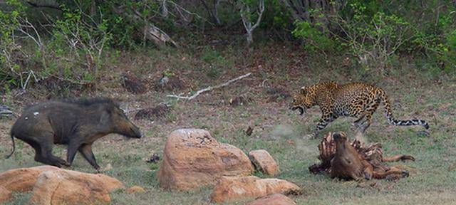 JDB电子游戏官网