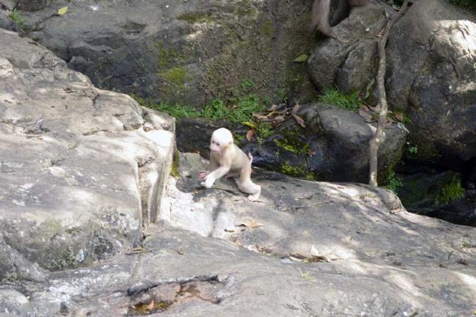 JDB电子游戏官网-贵州省人大常委会审议