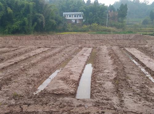 JDB电子_德国发生H5N8型高致病性禽流感疫情(图2) JDB电子试玩网页版