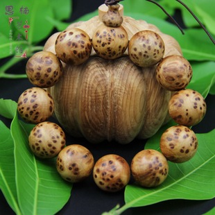 JDB电子游戏官网