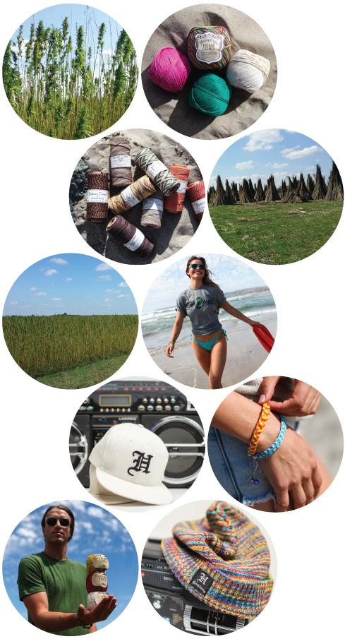 630头加拿大种猪乘专机抵渝入住千万豪宅-JDB电子试玩网页版