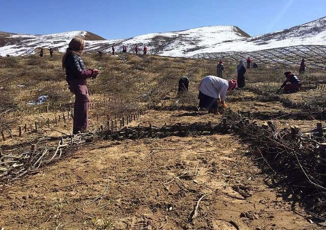 JDB电子游戏官网