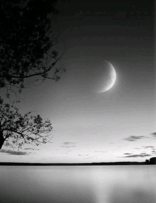 叶家社区迎来创建全国文明城市第四季度实地