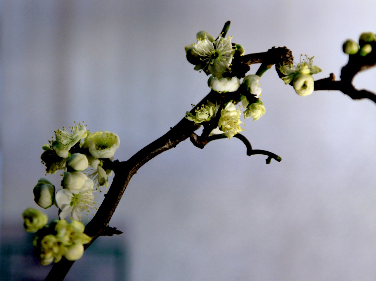 JDB电子游戏官网